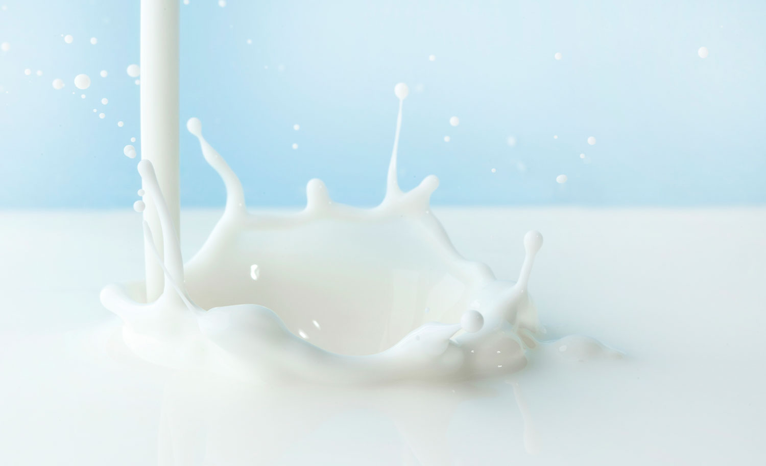 Линия по производству молочной продукции
